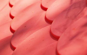 Stoke Abbott plastic roof costs