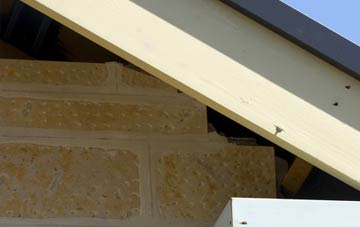 soffit repair Stoke Abbott