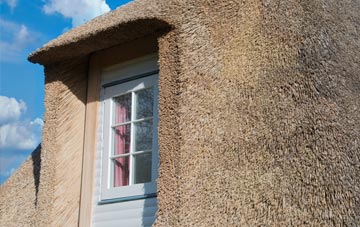 Stoke Abbott thatch roof disadvantages