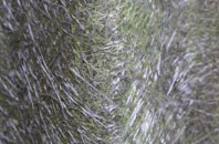 Stoke Abbott fibreglass roof work