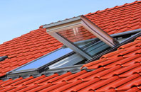 Stoke Abbott roof window